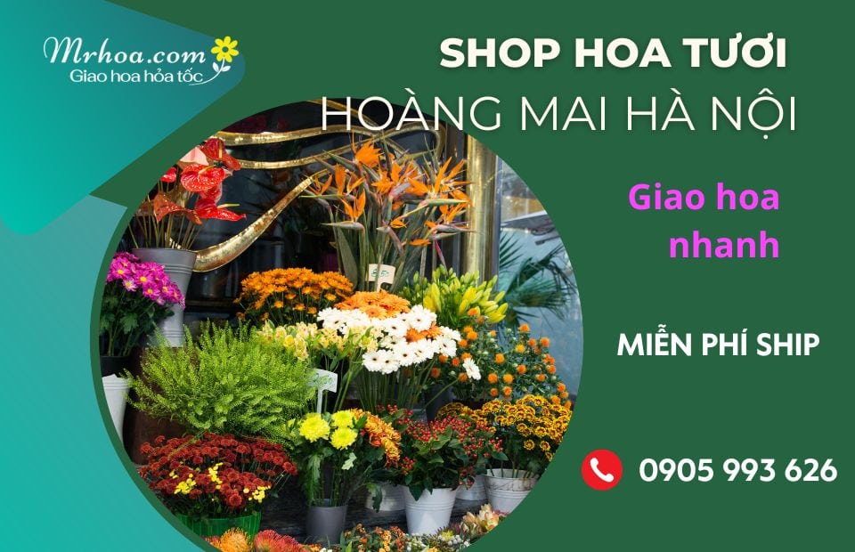 Shop Hoa Tươi Cầu Giấy Hà Nội Lựa Chọn Hoàn Hảo Cho Ngày Đặc Biệt