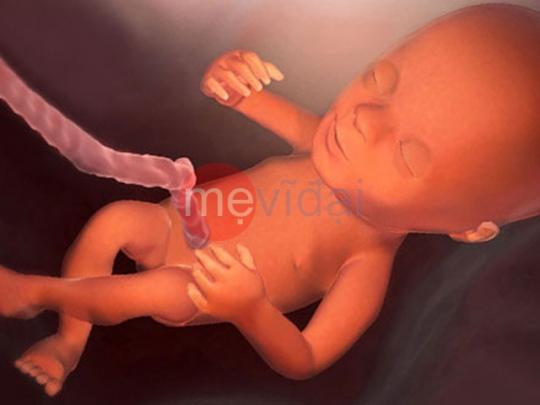 15 trường hợp mẹ bầu bắt buộc sinh mổ theo chỉ định của bác sỹ sản khoa