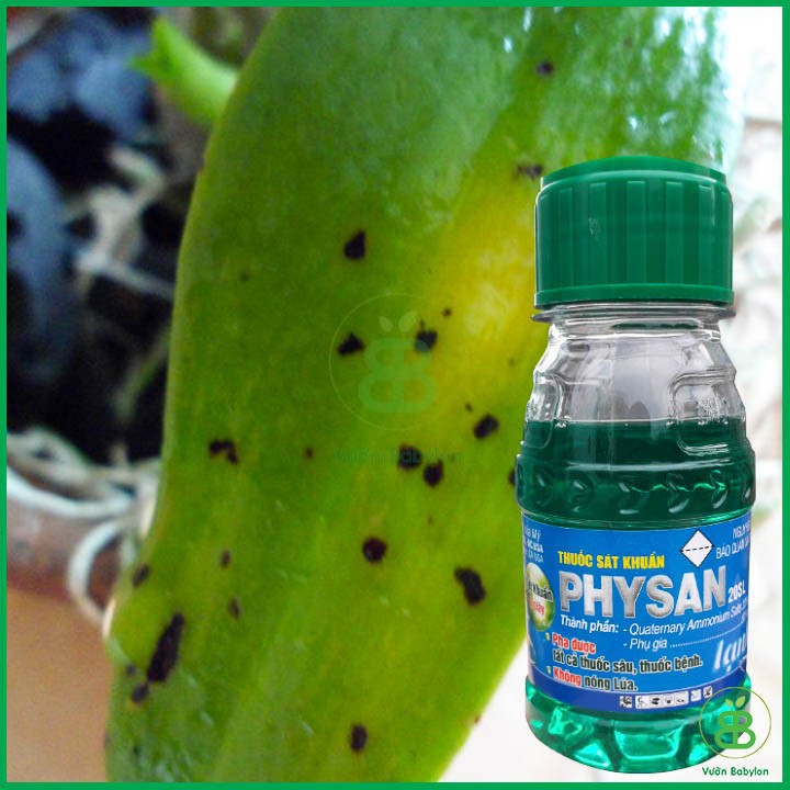 thuốc bảo vệ thực vật physan