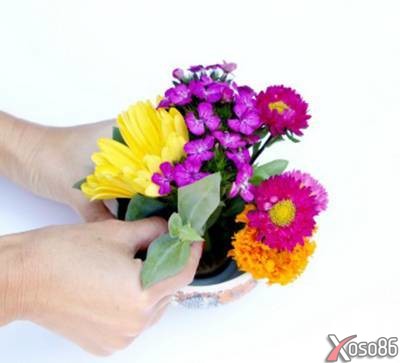 Cách cắm hoa vào bát đẹp độc lạ đơn giản nhất cho người mới bắt đầu