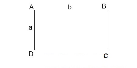 Cách tính diện tích hình chữ nhật có kèm bài tập ví dụ minh họa