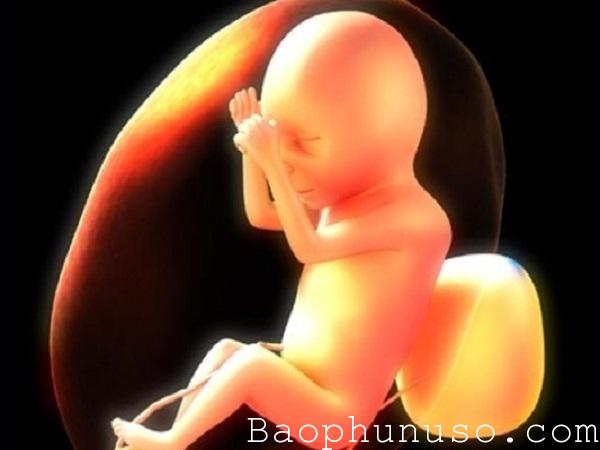 Dấu hiệu nhận biết thai lưu sớm nhất để có cách xử lý