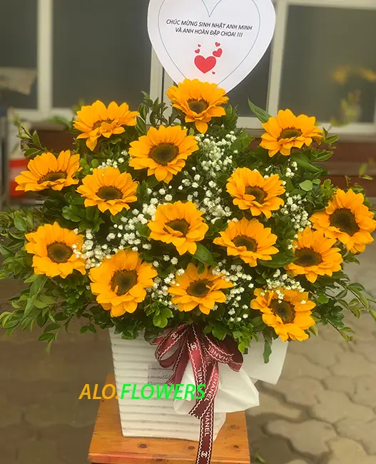 Hoa Quả Tươi Quận 2