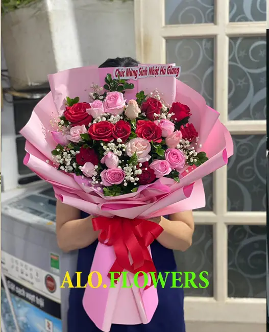 Shop Lan Hồ Điệp Hà Nội