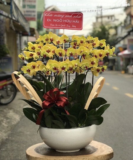 Hoa tươi ở Long Biên Sắc Màu Tươi Đẹp Của Cuộc Sống