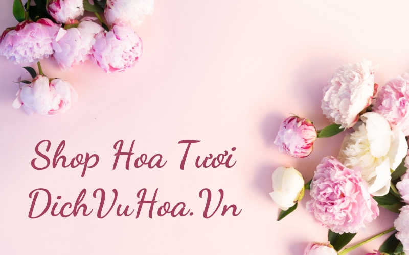 Shop Hoa Tươi Đẹp Ở Hà Nội Nơi Gửi Gắm Yêu Thương
