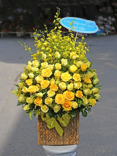Shop Hoa Tươi Giá Rẻ Tại Phường Ba Đình Thị Xã Bỉm Sơn Thanh Hóa Shop Hoa Tươi Giá Rẻ Tại Phường Ba Đình Thị Xã Bỉm Sơn Thanh Hóa