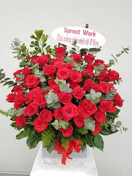 SHOP HOA TƯƠI GIÁ RẺ TẠI TRÀ ÔN VĨNH LONG SHOP HOA TƯƠI GIÁ RẺ TẠI TRÀ ÔN VĨNH LONG