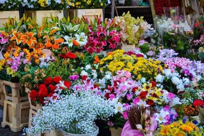 Shop Hoa Tươi Lâm Đồng