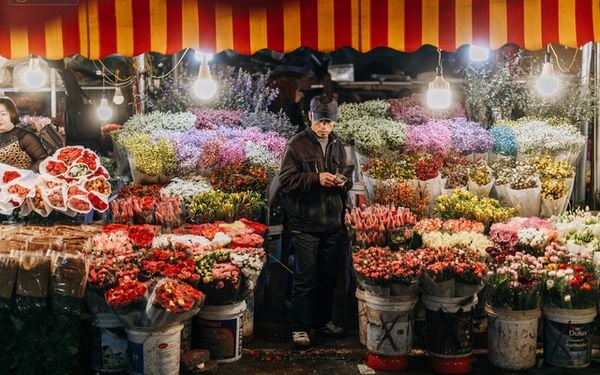 Top 5 Cửa Hàng Hoa Sáp Quận 1 Địa chỉ 12 Đ. Lê Thánh Tôn