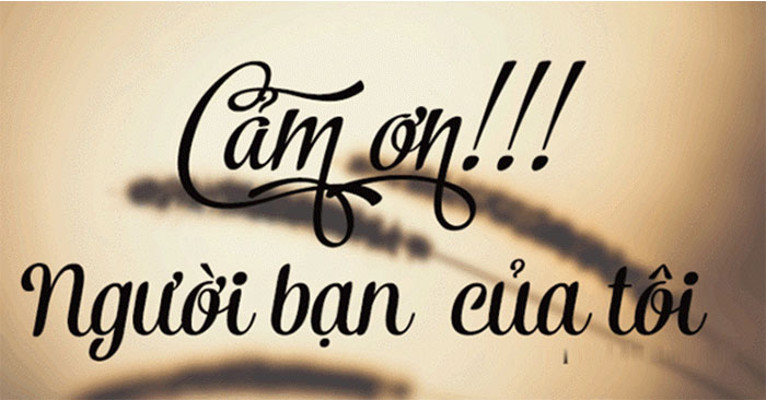 Gửi Lời Cảm Ơn Sinh Nhật Đơn Giản Nhưng Ý Nghĩa - Chia Sẻ Yêu Thương