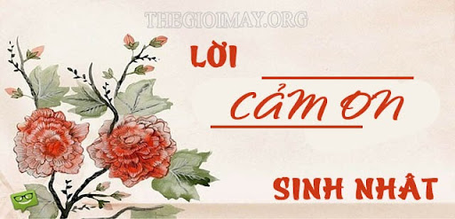 Gửi Lời Cảm Ơn Sinh Nhật Đơn Giản Nhưng Ý Nghĩa - Chia Sẻ Yêu Thương