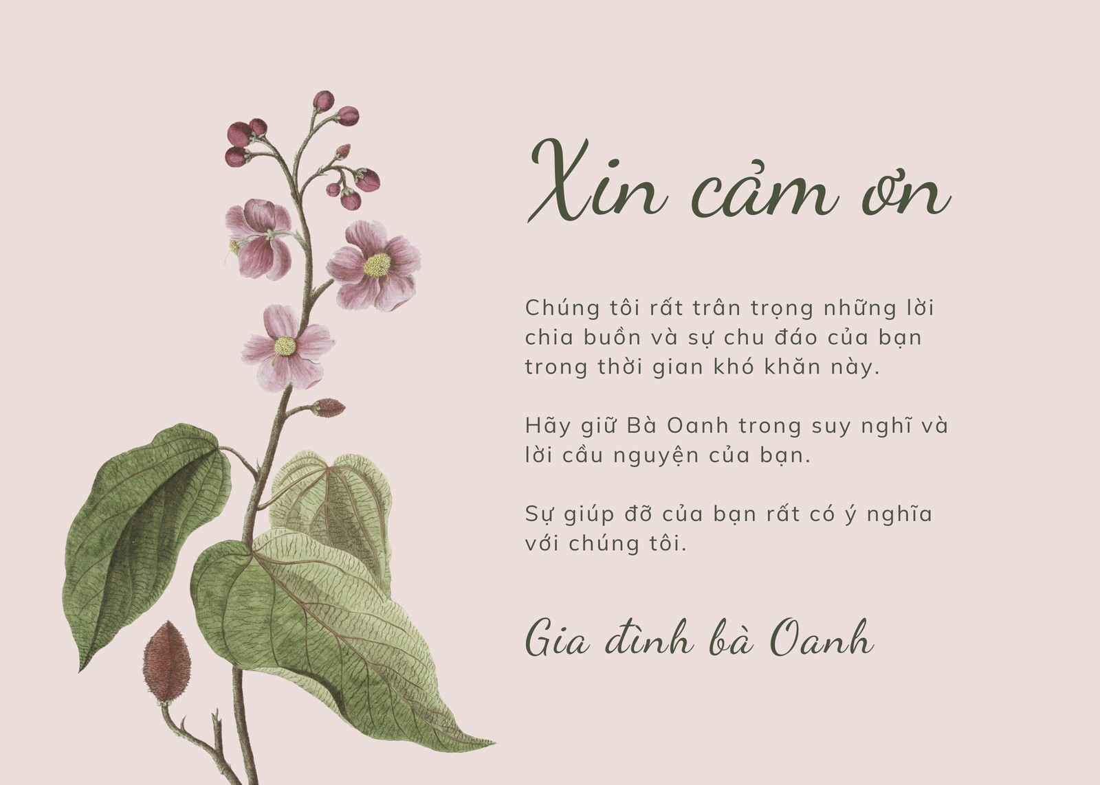 Gửi Lời Cảm Ơn Sinh Nhật Đơn Giản Nhưng Ý Nghĩa - Chia Sẻ Yêu Thương